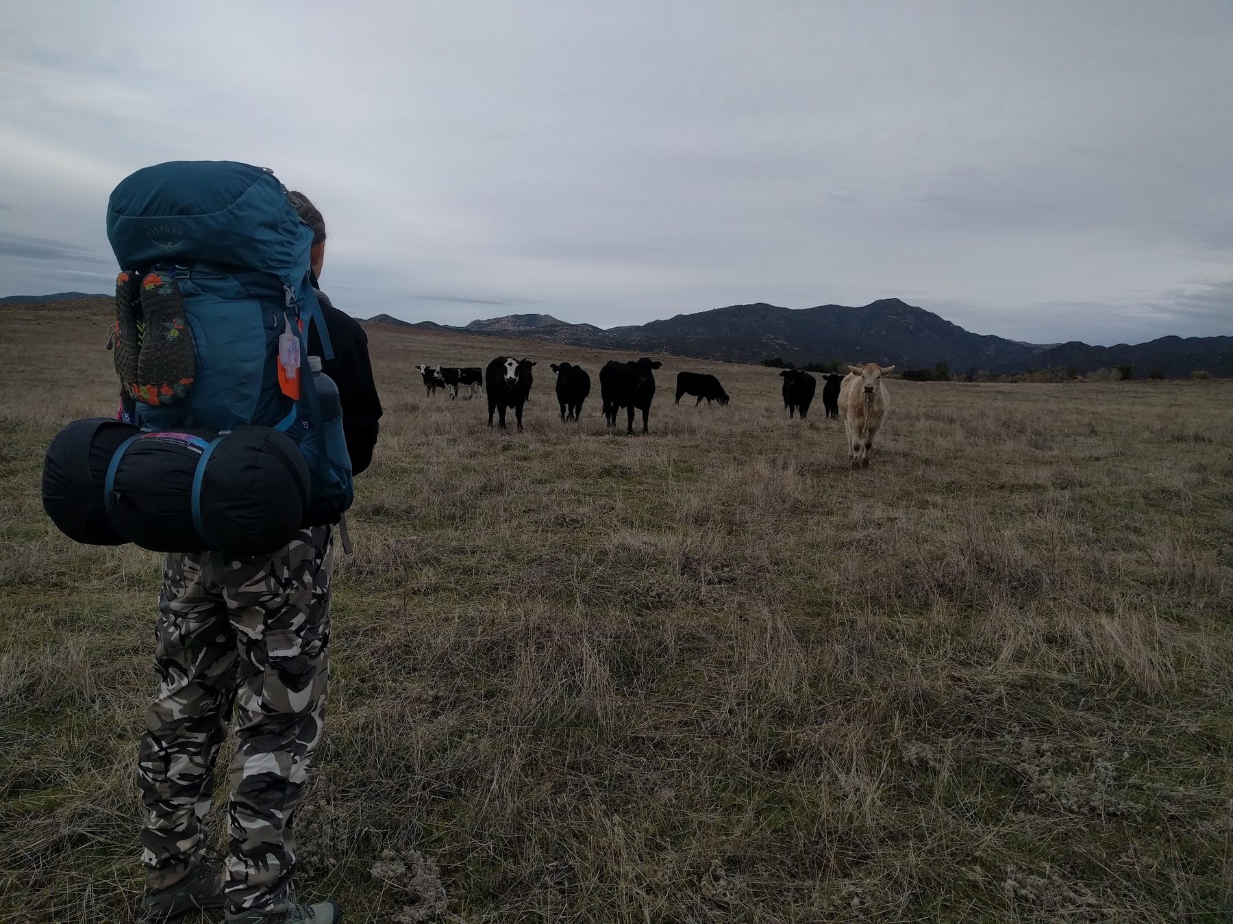 Backpacking together across an open plateau