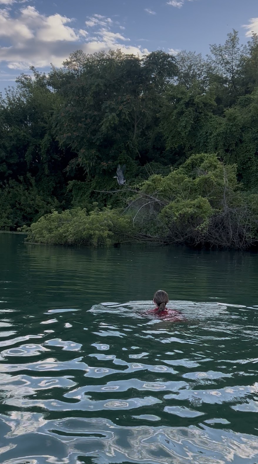Swimming through a quiet forest lake